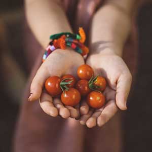 Great benefits await for members of Winona horticultural Society